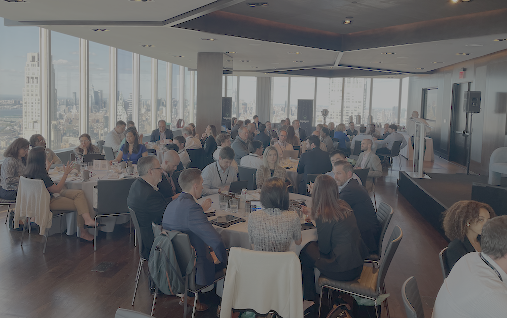 Bipsync Connect LP 2024